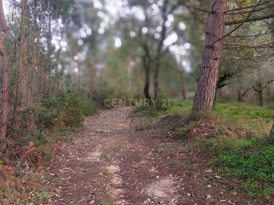 Helårsgrund i Parceiros e Azoia, Leiria - foto 5