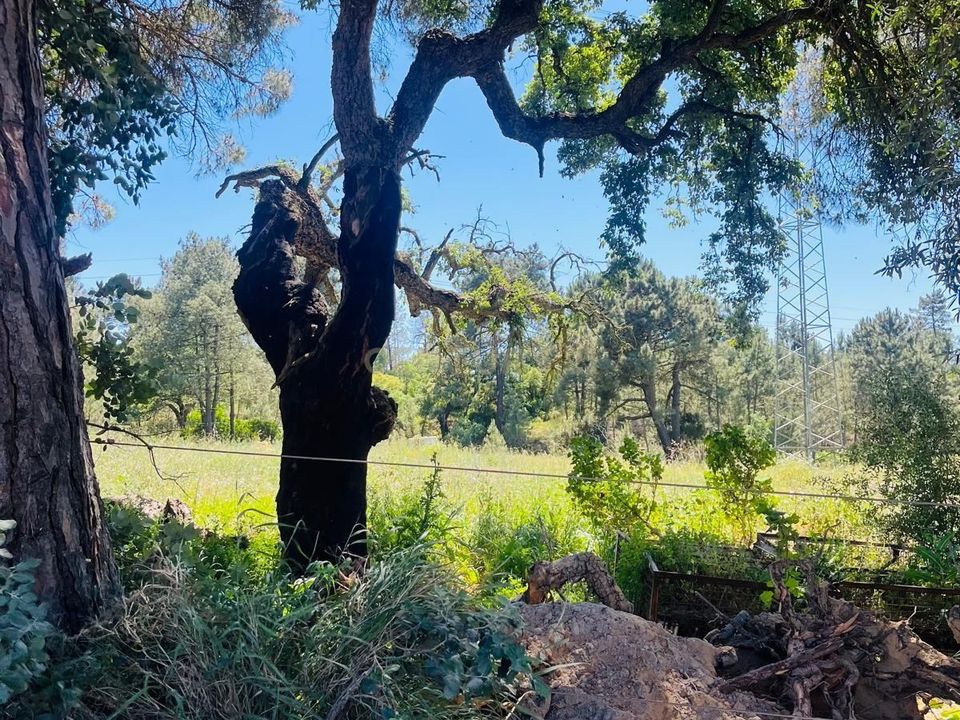 Terreno en Palhais, Setubal - foto 4