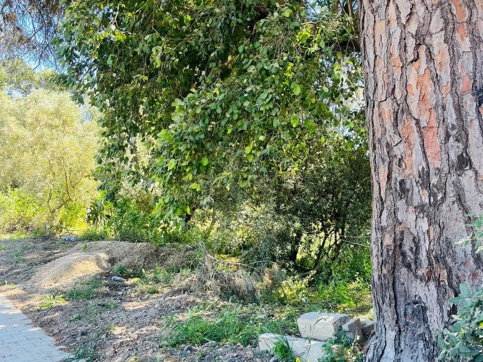 Terreno en Palhais, Setubal - foto 5