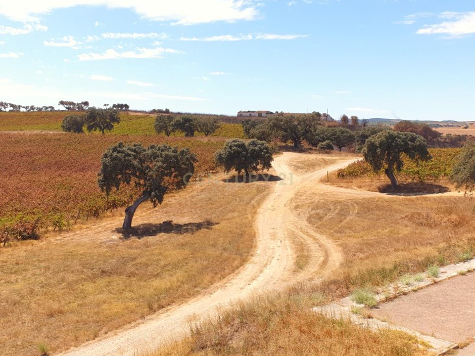 Farm hus i Terrugem e Vila Boim, Portalegre - foto 2