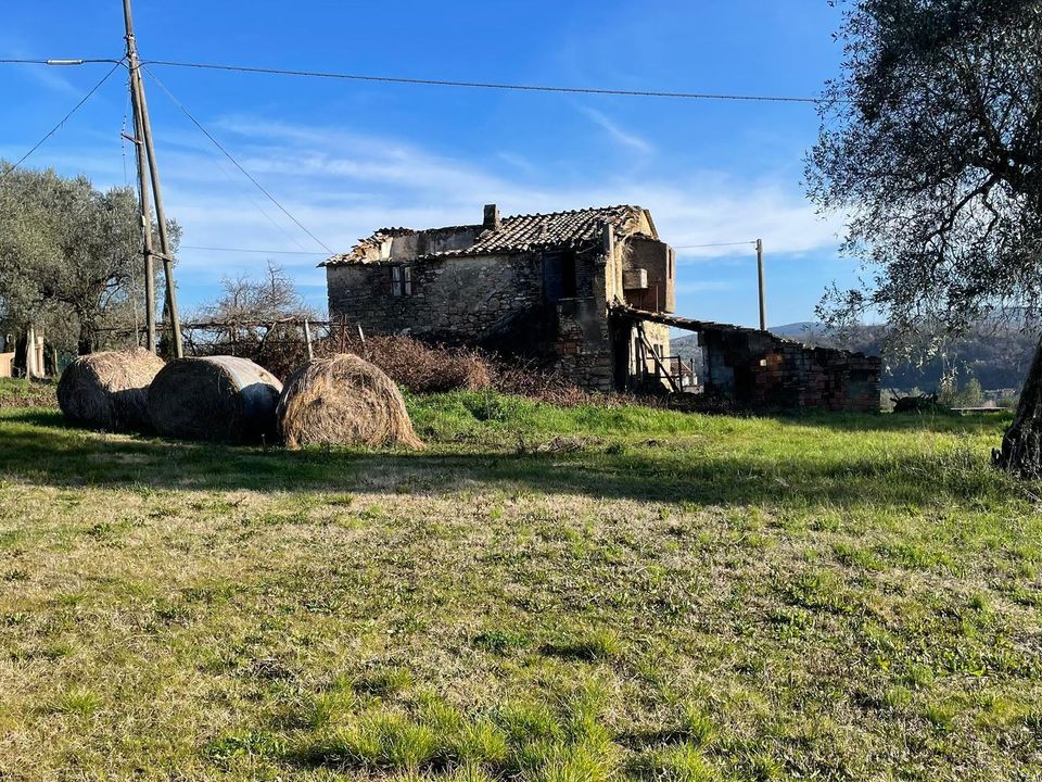 Villa in Amelia, Terni - foto 5