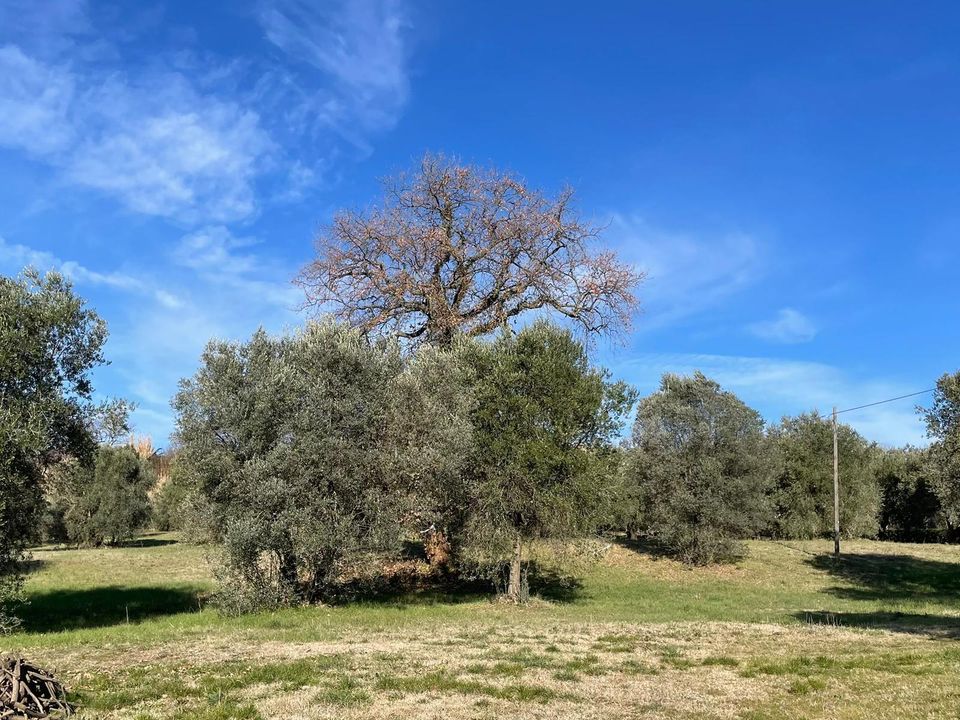 Villa i Amelia, Terni - foto 2