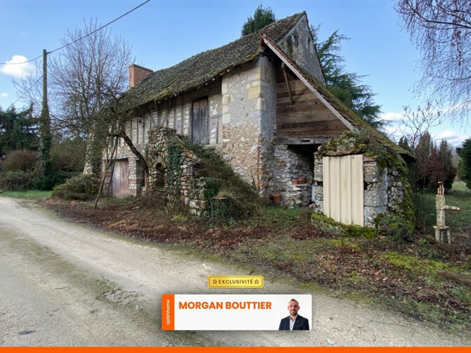Villa i Noyant-Villages, Maine-et-Loire - foto 5