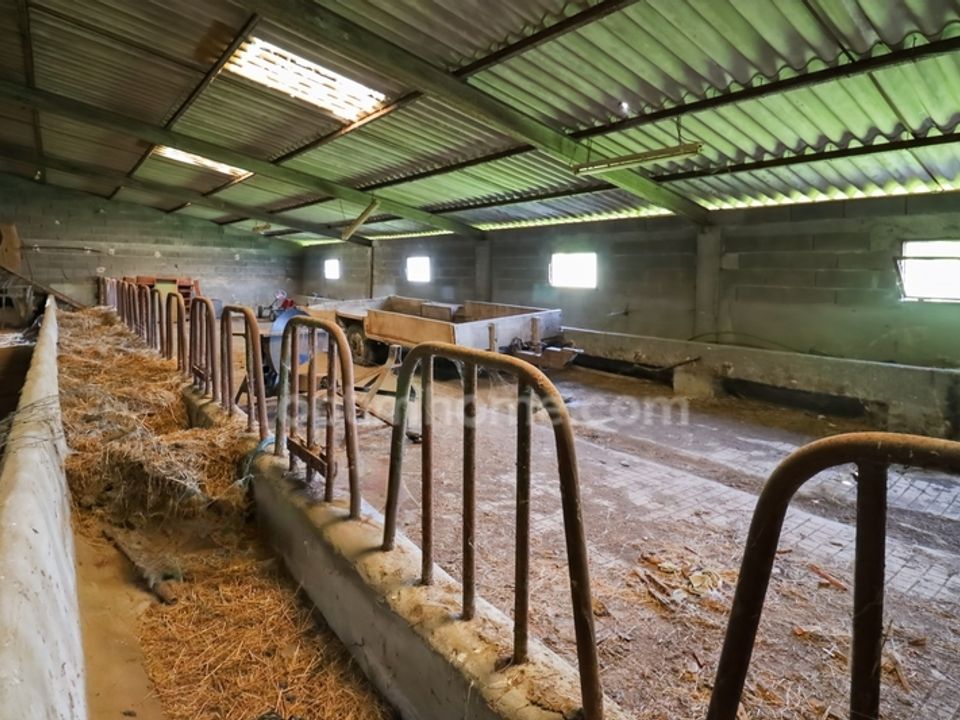 Farm hus i Saint-Leger-Magnazeix, Haute-Vienne - foto 3