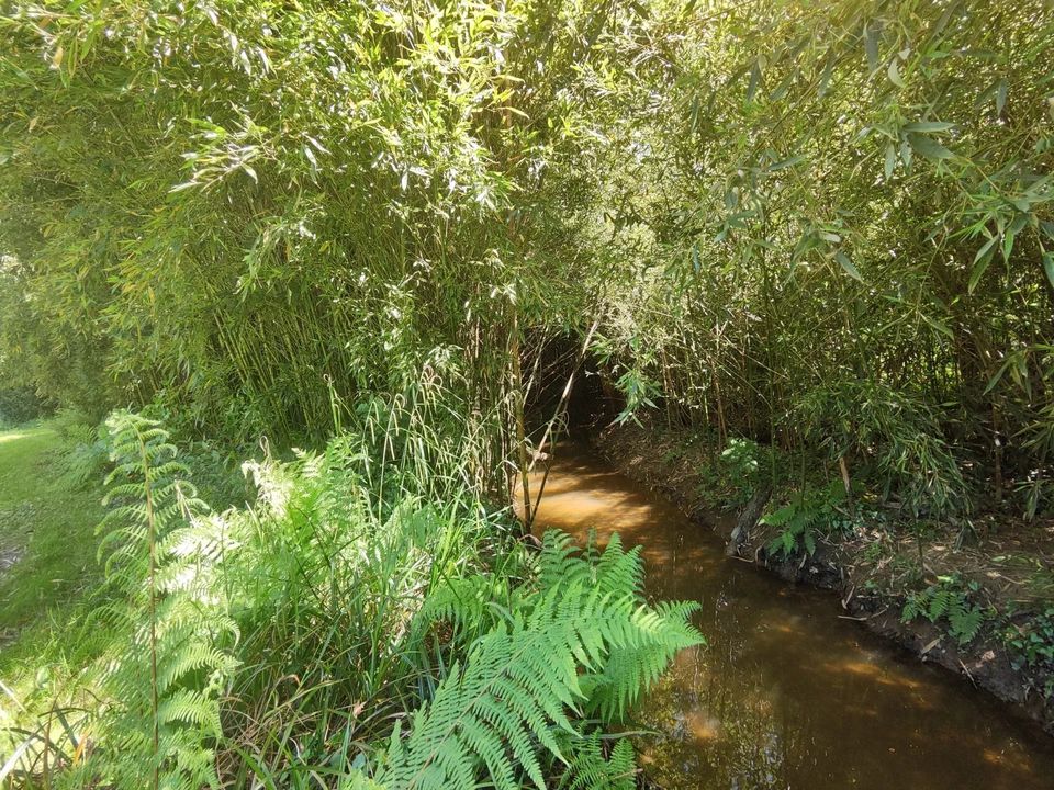 Villa i Pouillon, Landes - foto 3