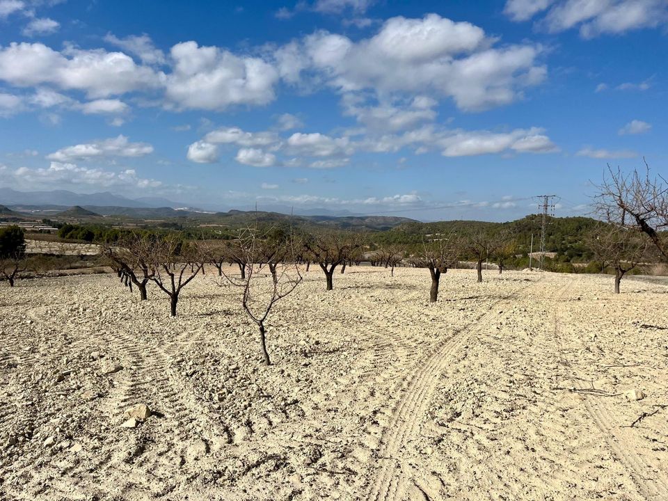 Helårsgrund i Bullas, Murcia - foto 1
