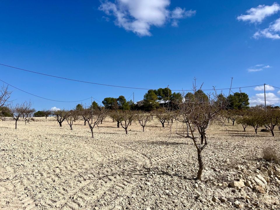 Helårsgrund i Bullas, Murcia - foto 3