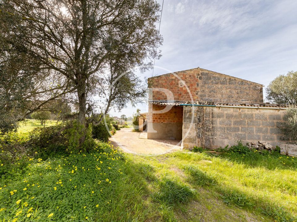 Masia a Campos, Mallorca - foto 4