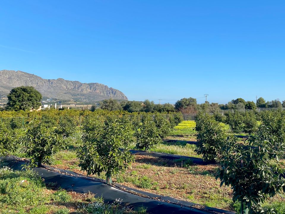 Villa i Benidoleig, Alicante - foto 4