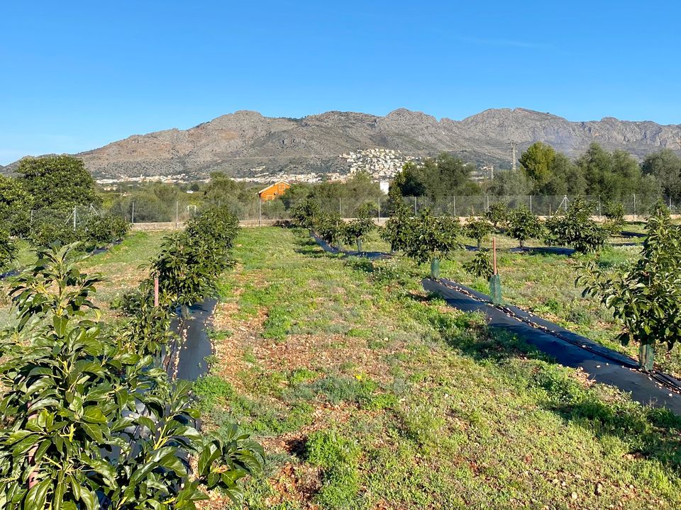 Villa i Benidoleig, Alicante - foto 5