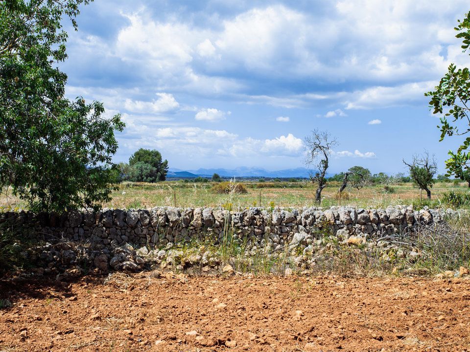 Helårsgrund i Felanitx, Mallorca - foto 3