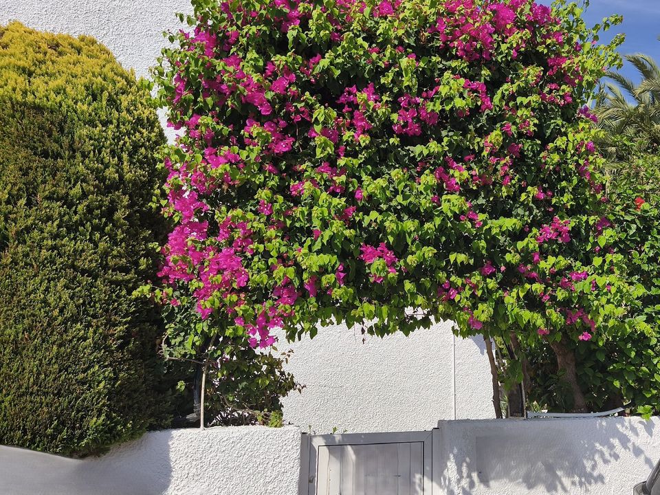 Dupleks: Mojacar, Almeria – zdjęcie 5