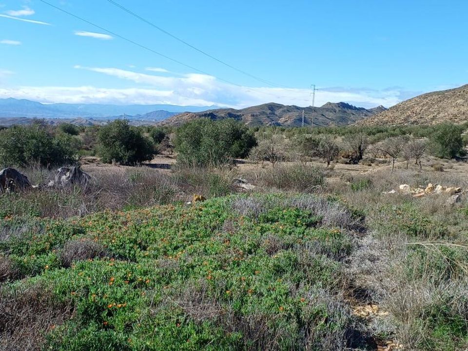 Helårsgrund i Urcal, Almeria - foto 3