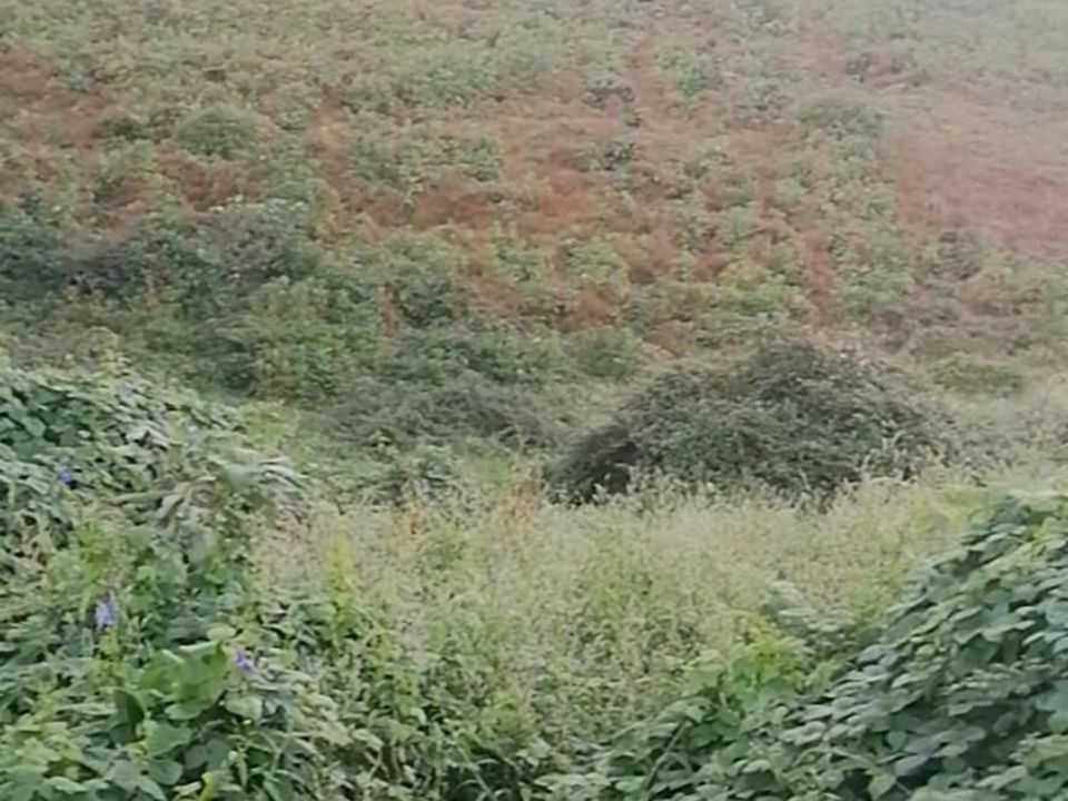 Helårsgrund i Horta, Faial - foto 1