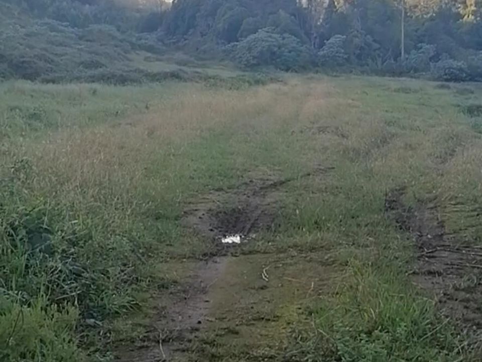 Helårsgrund i Horta, Faial - foto 2