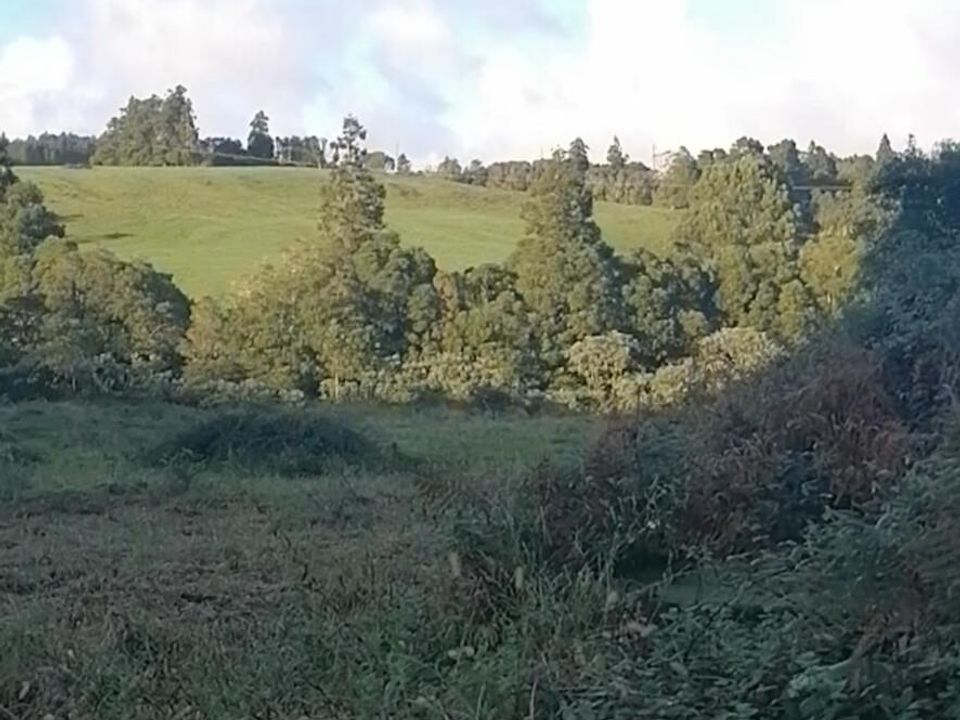 Helårsgrund i Horta, Faial - foto 5