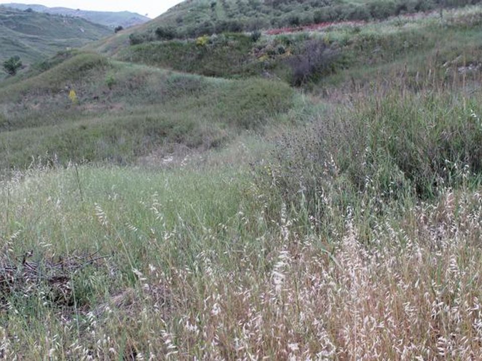 Helårsgrund i Cianciana, Agrigento - foto 1