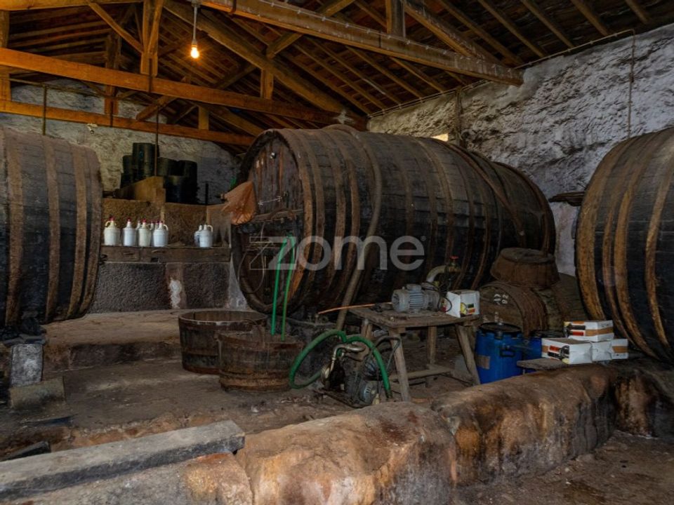 Farm i Carrazeda de Ansiaes, Braganca - foto 4