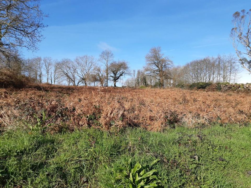 Helårsgrund i Landudec, Finistere - foto 1