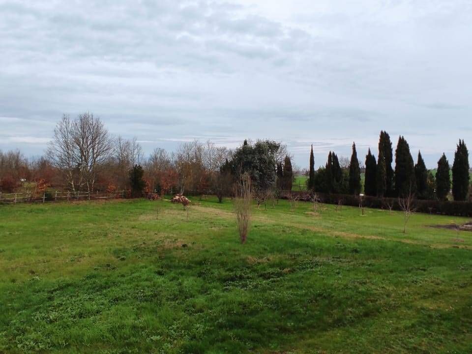 Grond in Fauglia, Pisa - foto 1