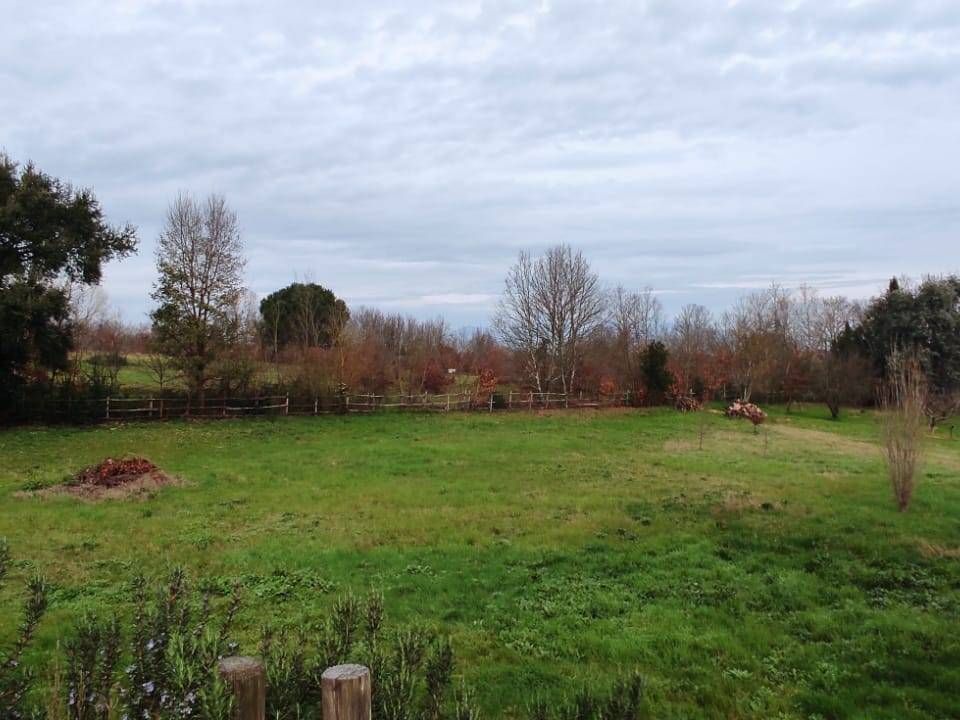 Grond in Fauglia, Pisa - foto 2