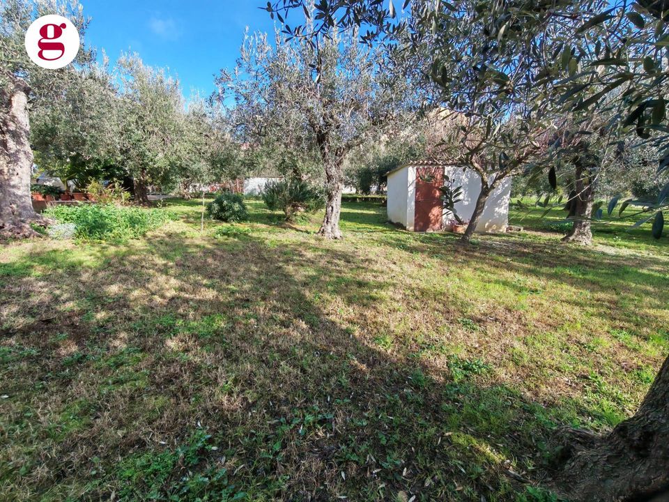 Helårsgrund i Vasto, Chieti - foto 2