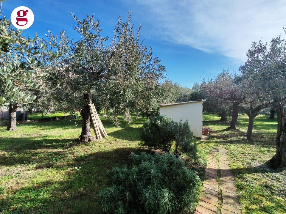 Helårsgrund i Vasto, Chieti - foto 3