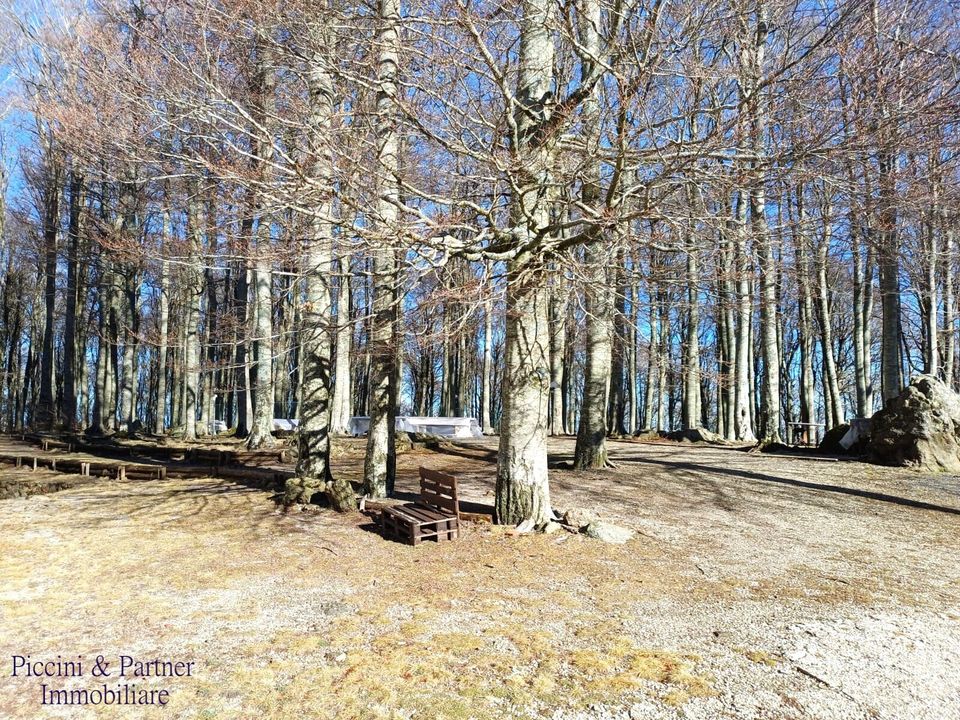 Lejlighed i Seggiano, Grosseto - foto 4