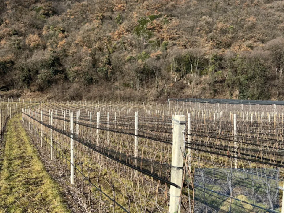 Helårsgrund i Termeno sulla Strada del Vino, South Tyrol - foto 1