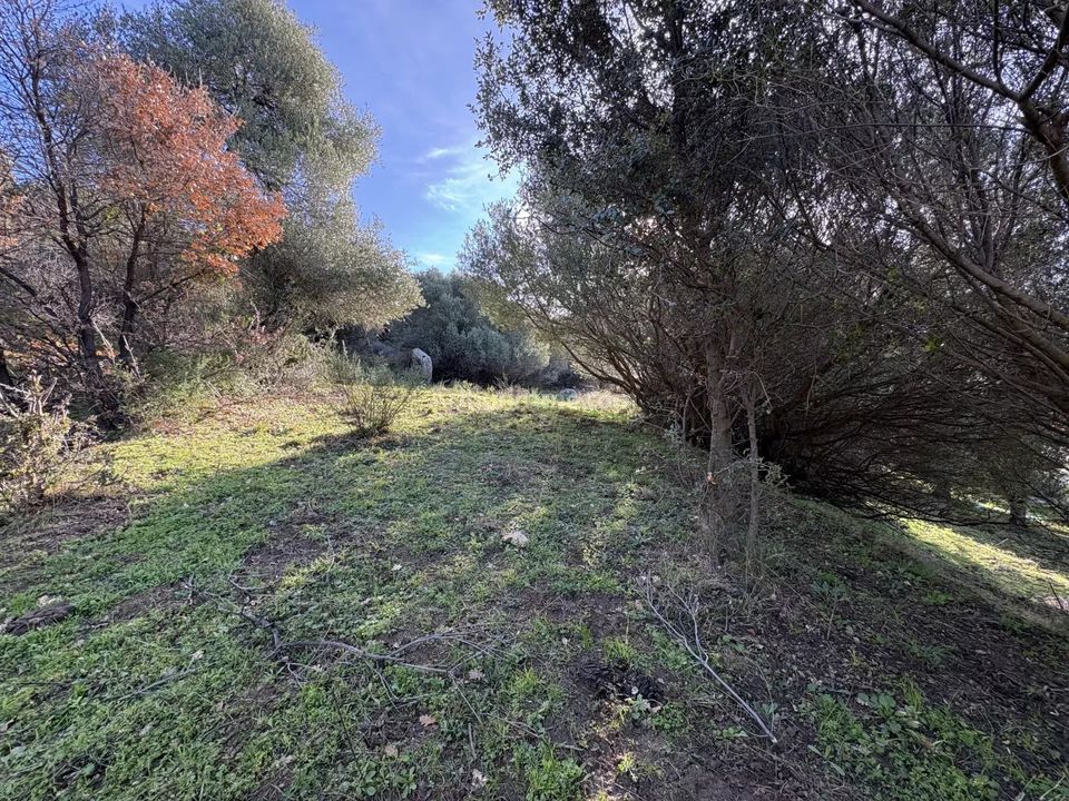Helårsgrund i Montegrosso, Haute-Corse - foto 2
