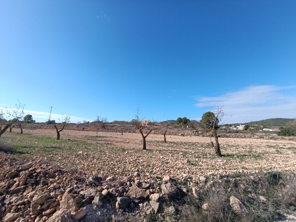 Ruina en Yecla, Murcia - foto 4
