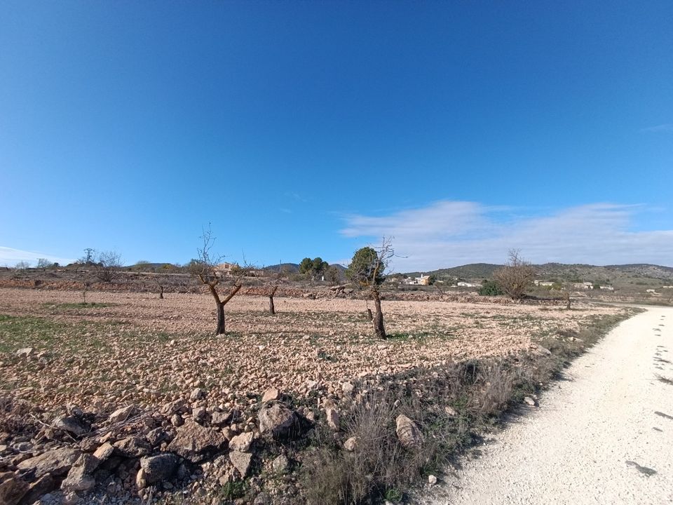 Ruina en Yecla, Murcia - foto 5