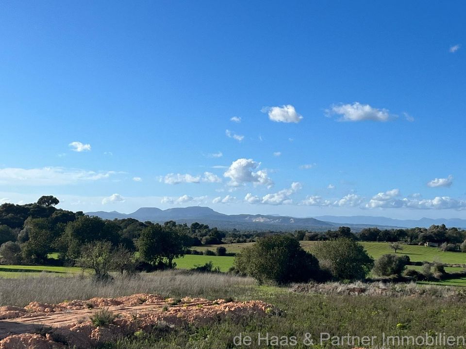 Finca i Cas Concos Des Cavaller, Mallorca - foto 3