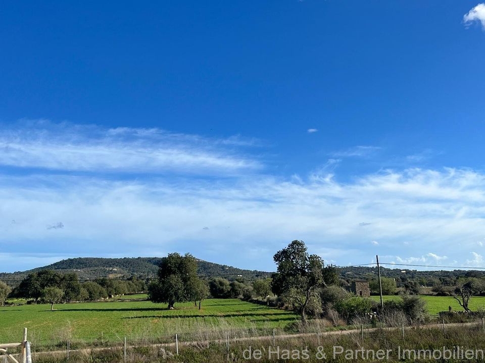 Finca i Cas Concos Des Cavaller, Mallorca - foto 4