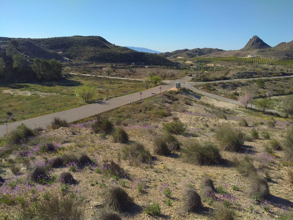 Helårsgrund i Molina De Segura, Murcia - foto 1
