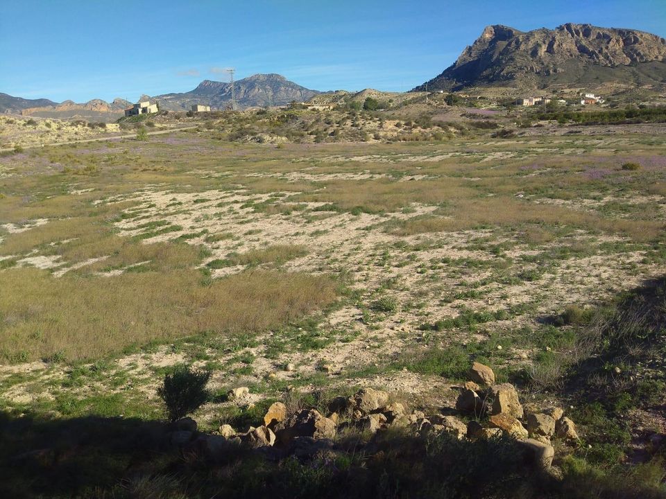 Helårsgrund i Molina De Segura, Murcia - foto 4