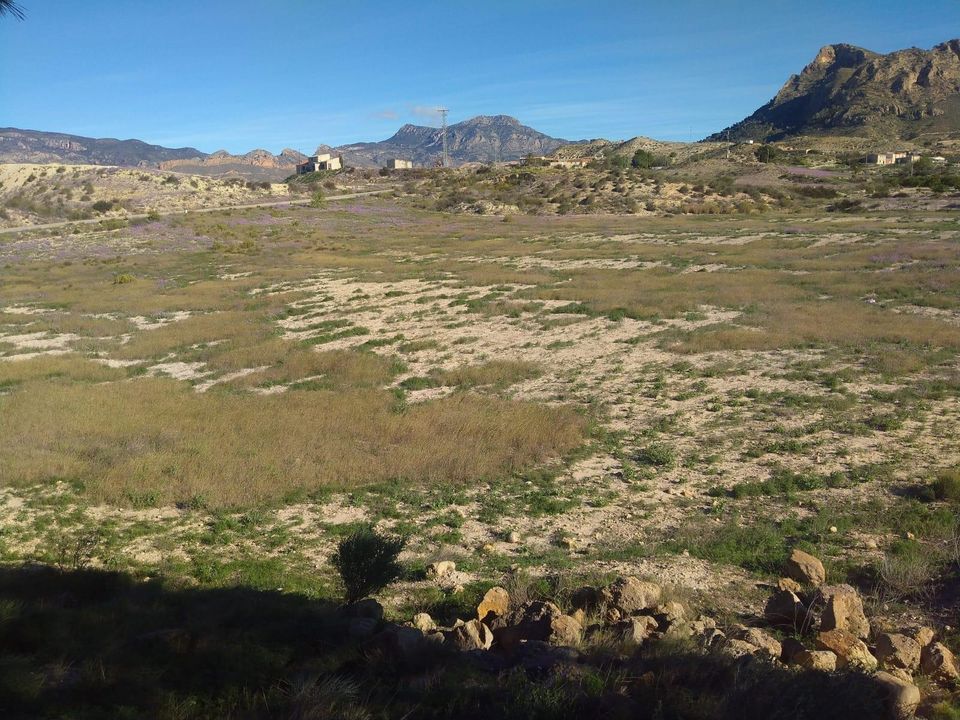 Helårsgrund i Molina De Segura, Murcia - foto 5