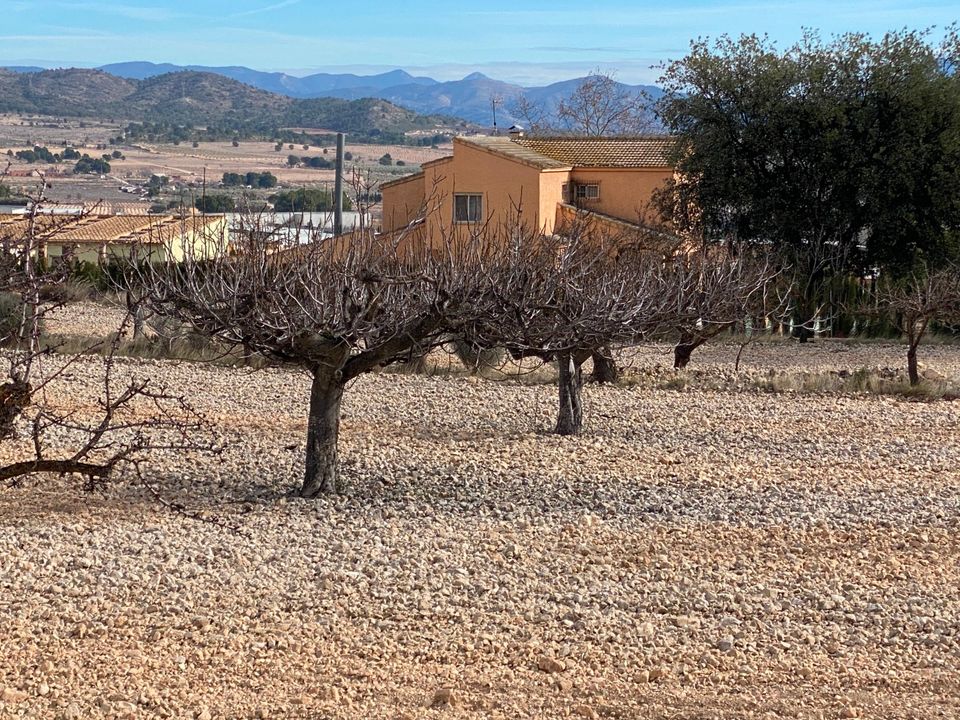 Landejendom i Salinas, Alicante - foto 3