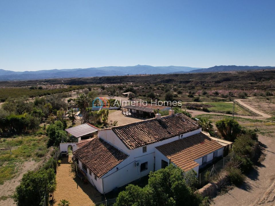 Landejendom i Albox, Almeria - foto 4