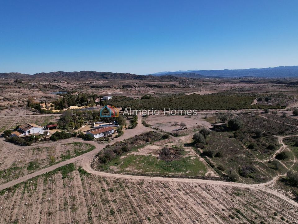 Landejendom i Albox, Almeria - foto 5