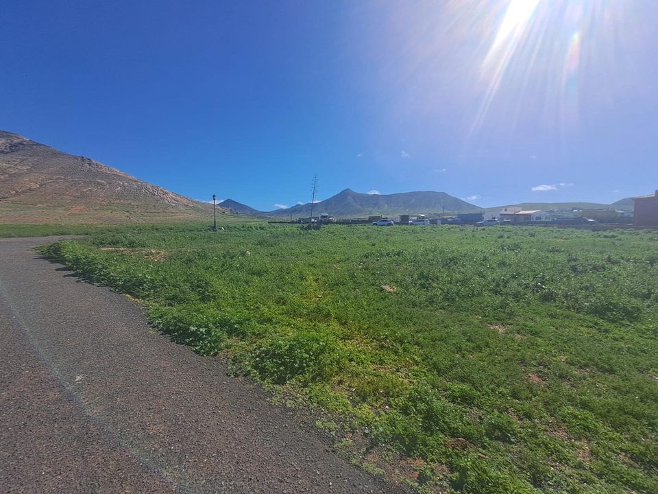 Helårsgrund i La Oliva, Fuerteventura - foto 3