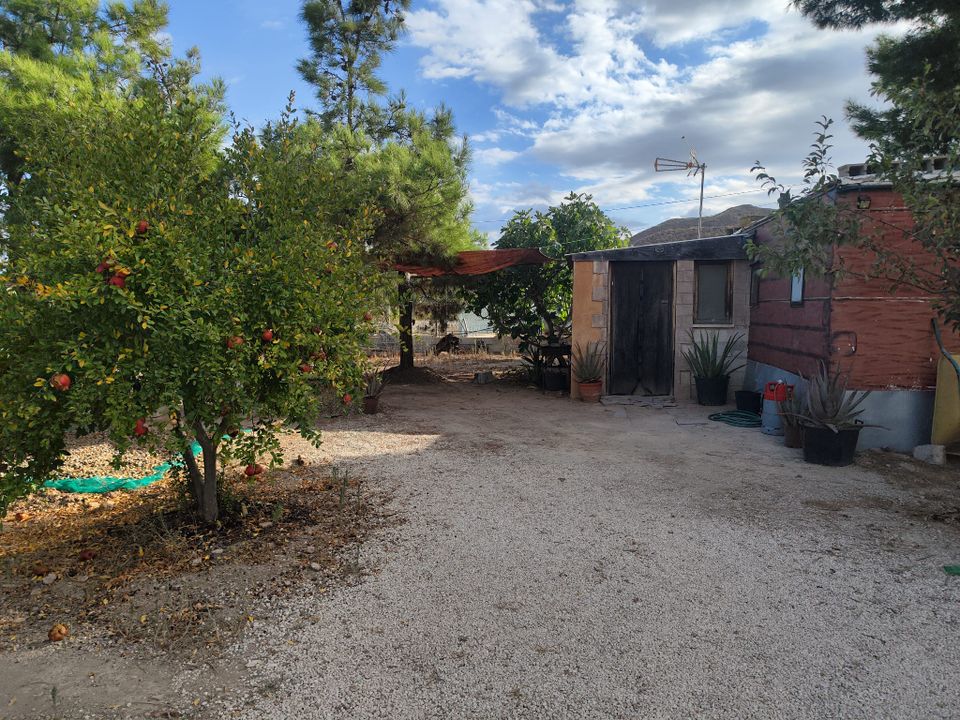 Herregård i Purias, Murcia - bilde 5