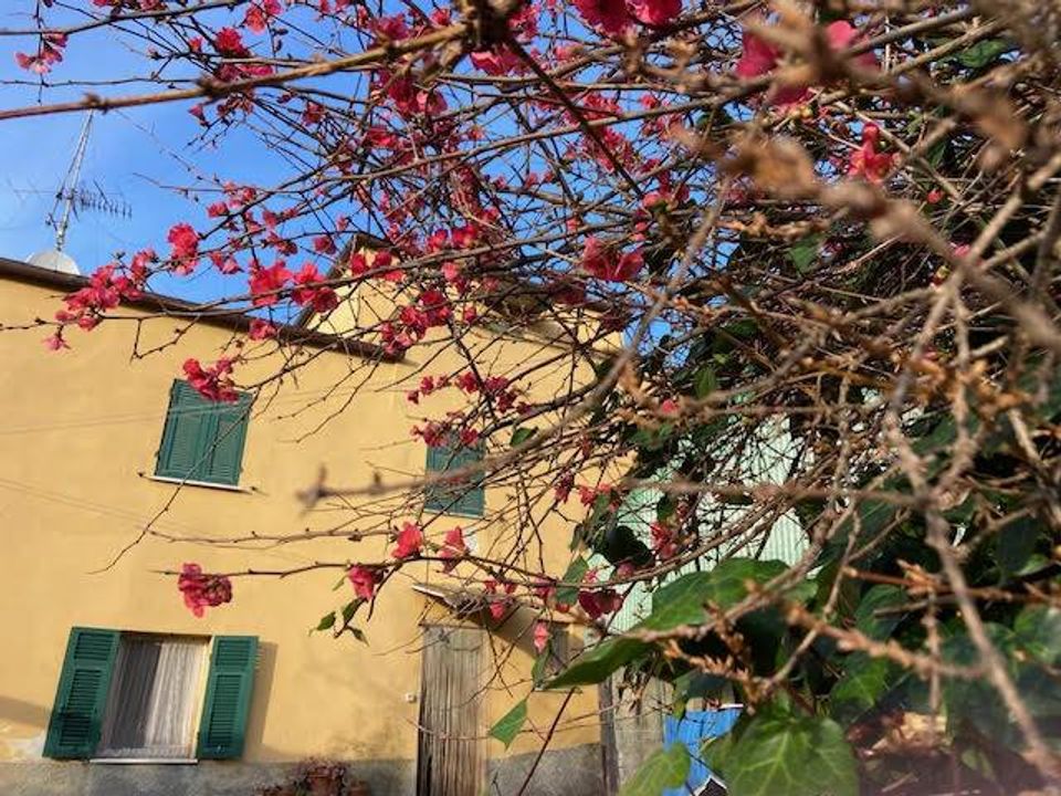 Villa i Albisola Superiore, Savona - foto 2
