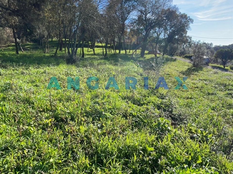 Helårsgrund i Tomar, Santarem - foto 2