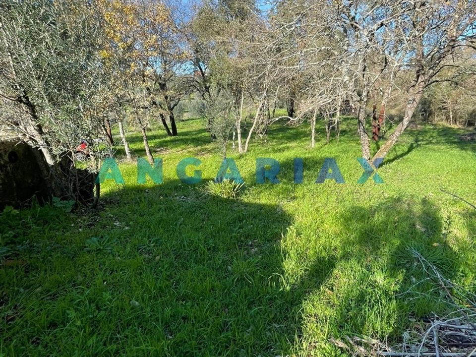 Helårsgrund i Tomar, Santarem - foto 3
