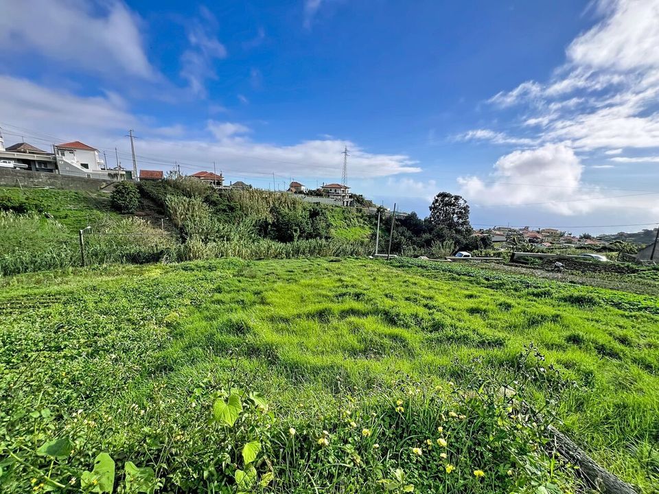 Helårsgrund i Ponta do Sol, Madeira - foto 4