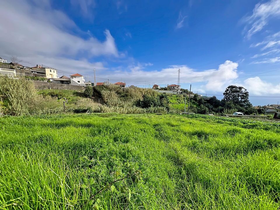 Helårsgrund i Ponta do Sol, Madeira - foto 5