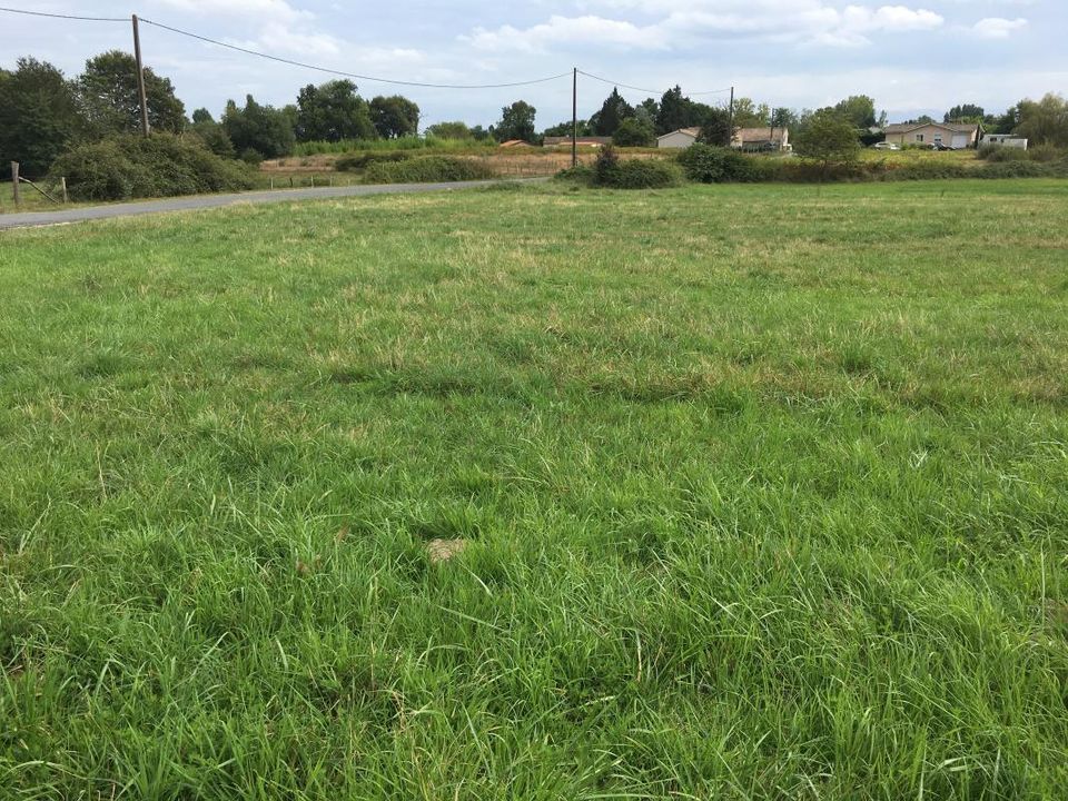 Helårsgrund i Val-de-Virvee, Gironde - foto 1