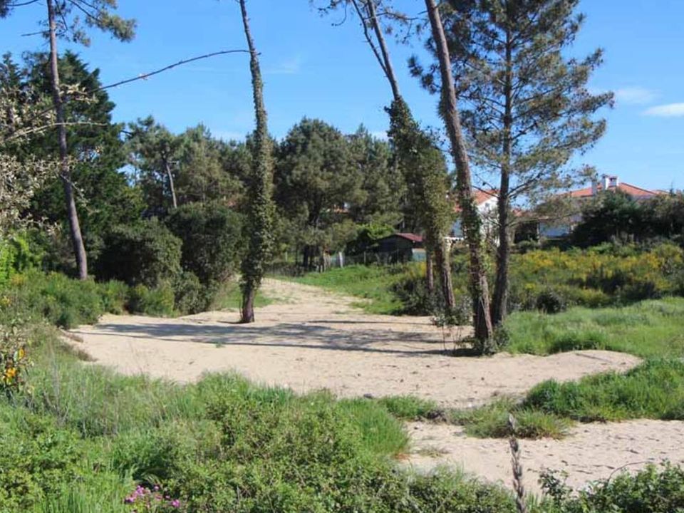 Helårsgrund i Margaux-Cantenac, Gironde - foto 1