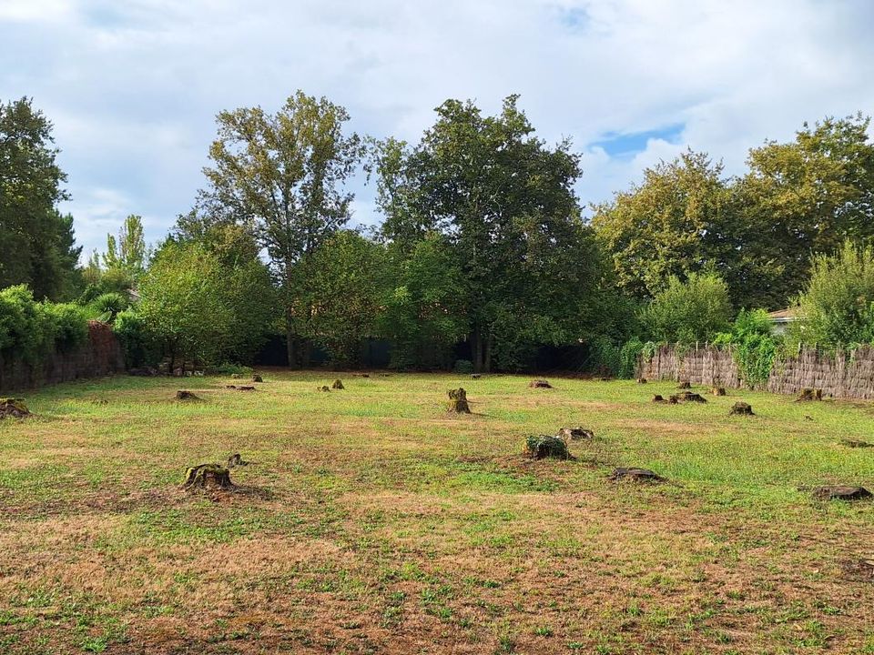 Helårsgrund i Martignas-sur-Jalle, Gironde - foto 3